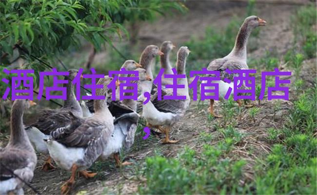 三月春风四月花开去哪儿游