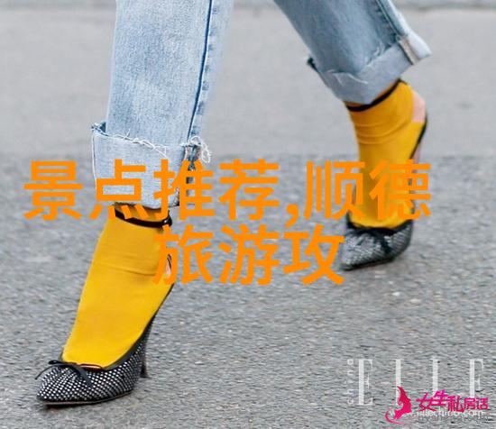 微型人的社会结构和文化体系又是怎样的