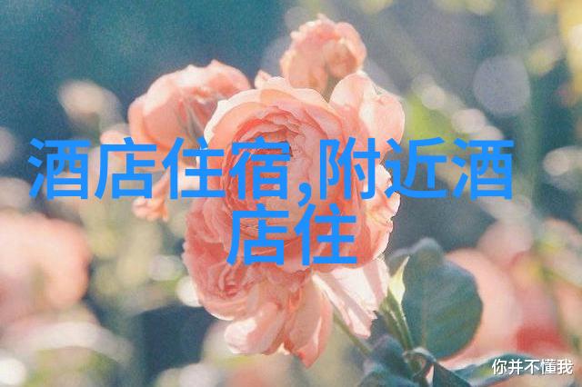 舟山之旅探索东海的美丽角落