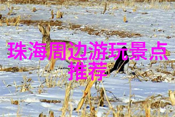 京都大阪北海道美食大推荐南方最火的小吃加盟店