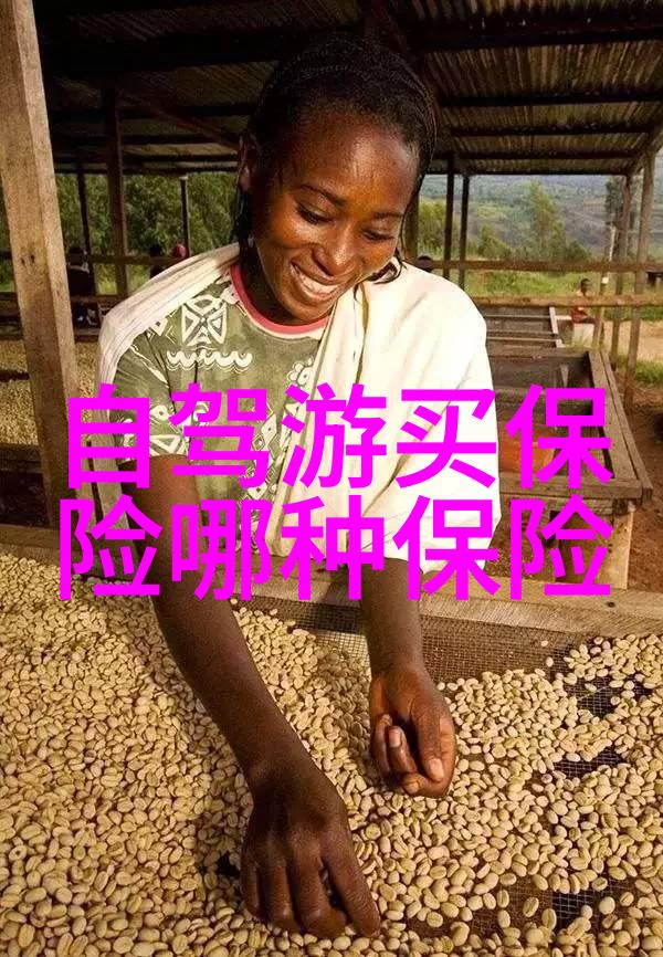 成都夜生活指南KTV酒吧茶馆选择大全
