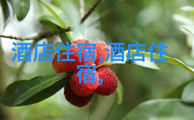 4天游玩地方推荐国内-探索中国美景4天旅行指南