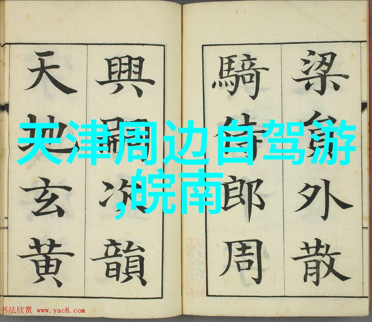 绚丽多彩的巴厘岛之旅