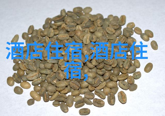 骑行如飞公路自行车最佳坐姿的艺术与实践