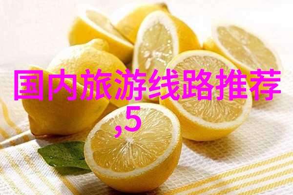 城市规划中为何要注重开发高质量的自行车道网络