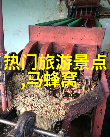 骑行之美健康的双轮舞者
