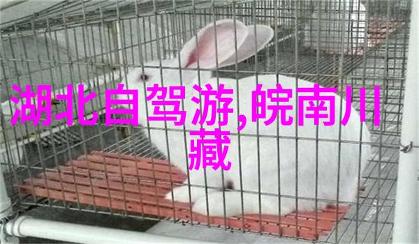 上海油画雕塑院美术馆