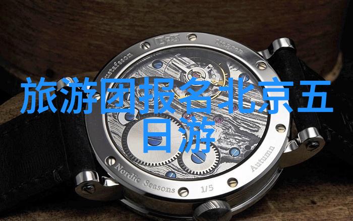 野性生存从小班户外探险到冒险教育