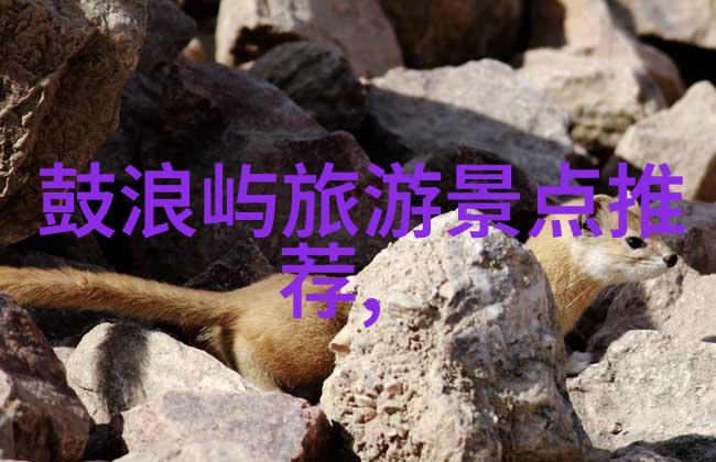 探索中国旅游风光旅游卫视新闻报道的文化与经济影响