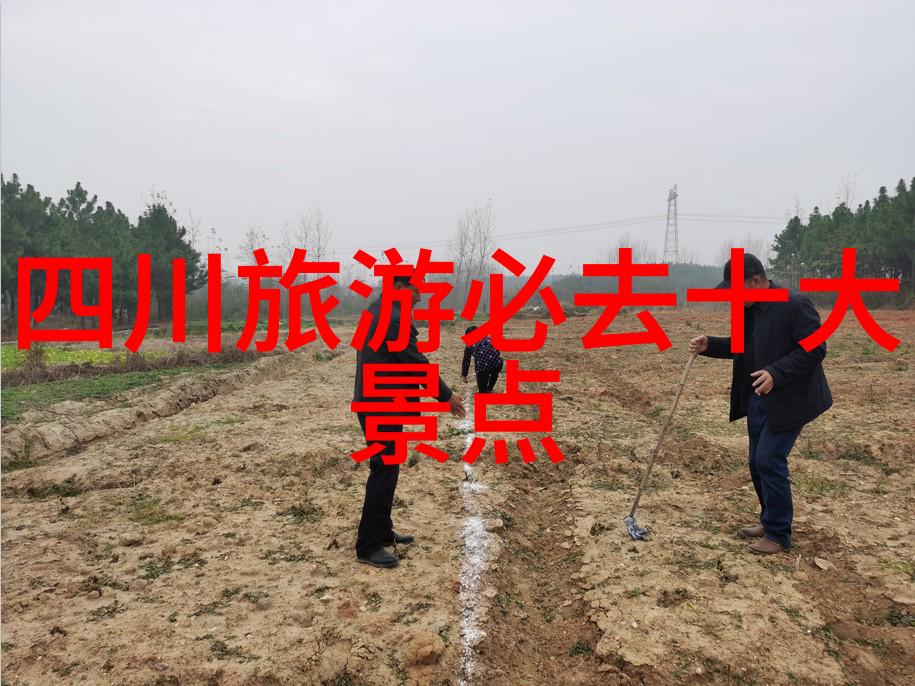 龙树坝