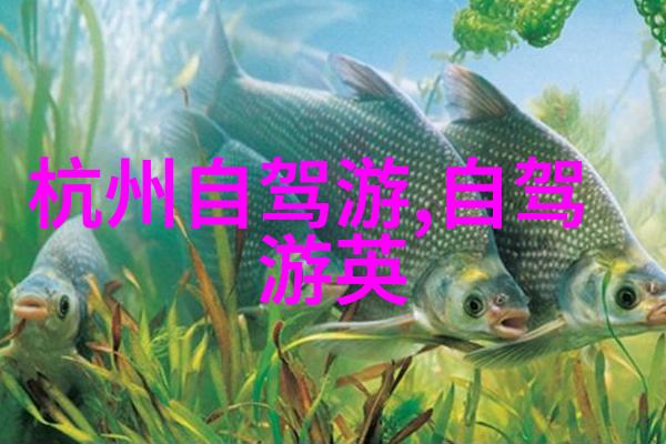 乌兰布统大草原自驾游攻略探索蒙古风情的旅程