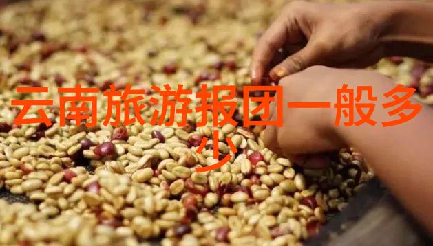 幼儿园小班户外活动有哪些 - 探索童年乐趣小班户外活动的丰富多彩