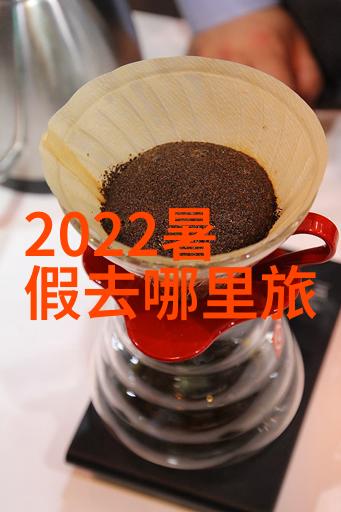 塞莱斯廷预言揭秘末日的启示与解读