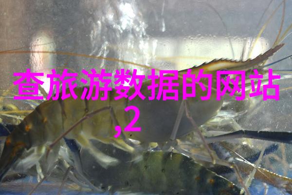 香港高街文旅部官网引领社会文化融合新篇章