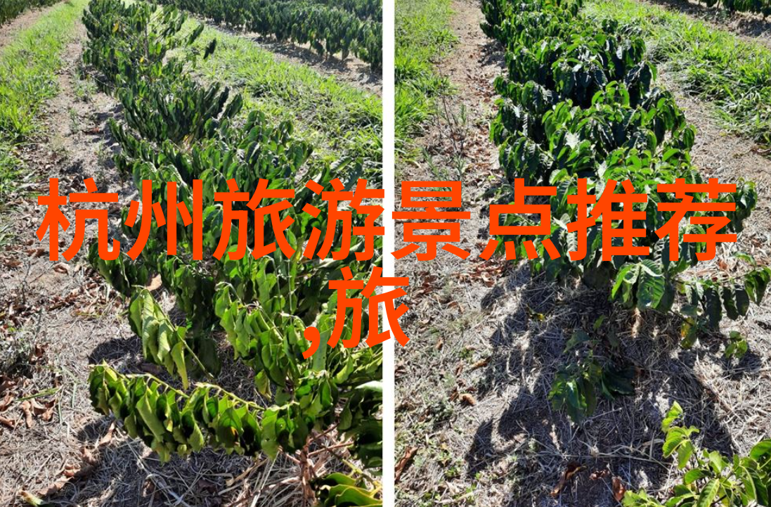 碧波荡漾全球最美海岛旅行指南
