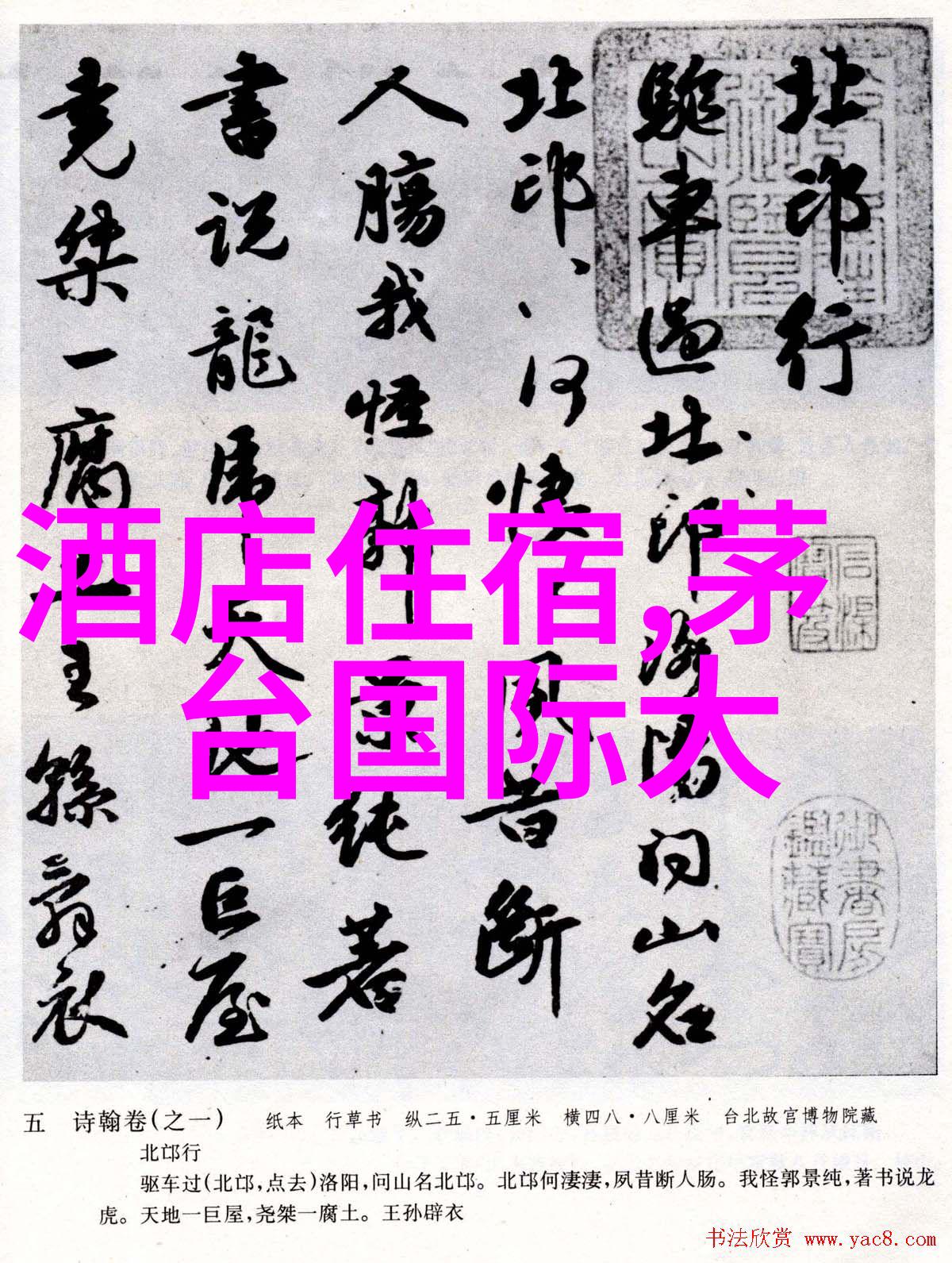 南京自驾游 - 亲历古城风韵揭秘江南水乡的美丽秘密路线