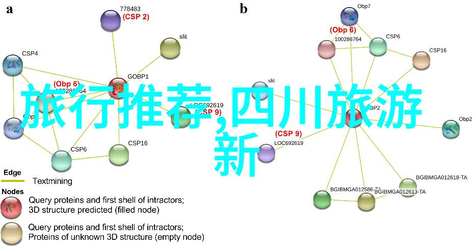 远足与露营自然之美激发团队潜能