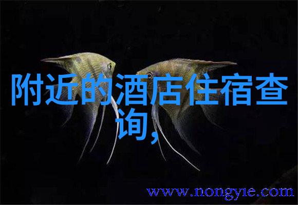 甘南旅游攻略-探索青藏高原的美丽秘境甘南必去景点全解析