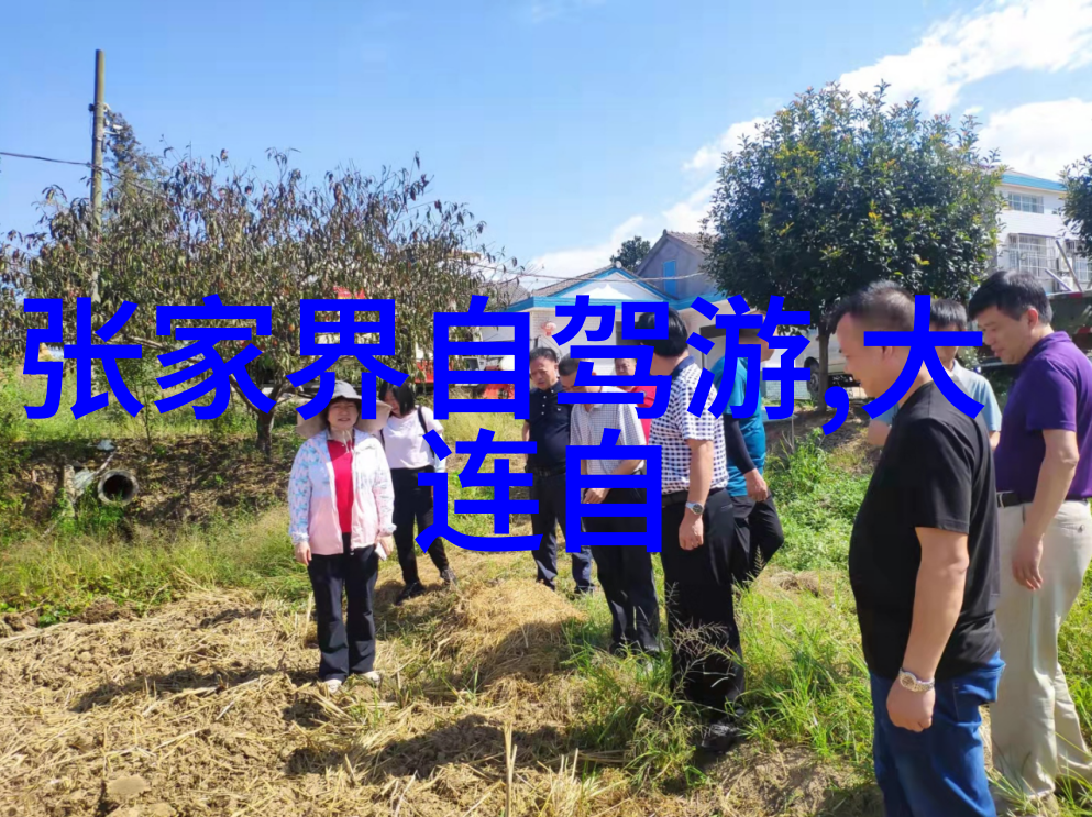 跨出舒适区开启新篇章员工拓展活动述说