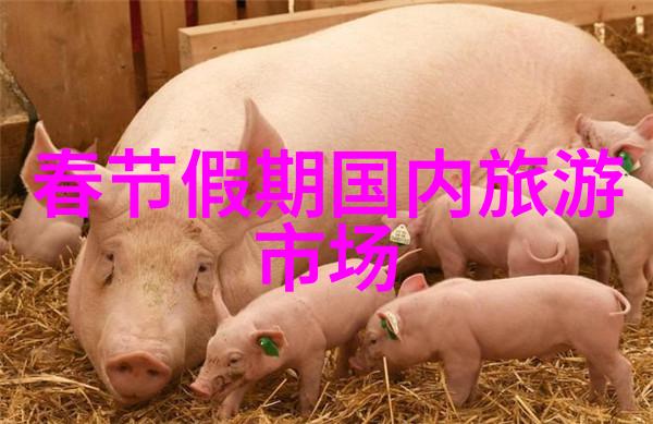你们家乡在元宵节时有玩灯的习俗吗
