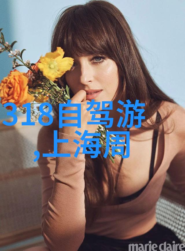 乌镇水乡魅力探秘酒店中的文化与艺术融合
