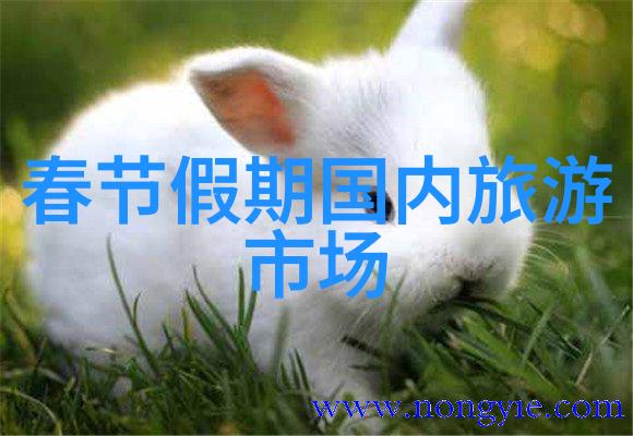 骑行驿站探索风景与传统的双重旅程