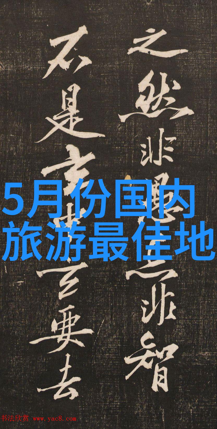 行车安全不容忽视自驾游时如何选择合适的保险