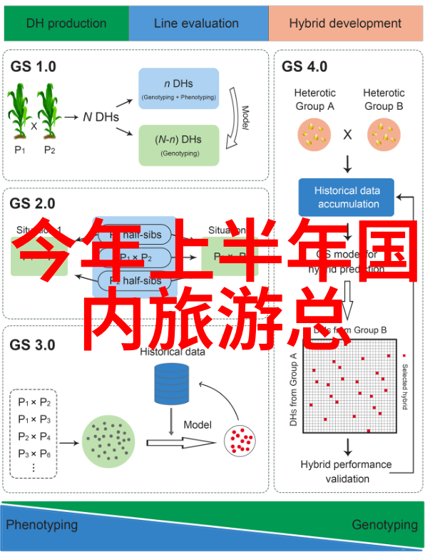 户外100种游戏探险拓展训练户外运动野性生存