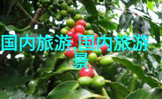 庐山古迹游揭秘庐山上隐藏的历史遗迹