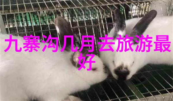 主题我来教你15个超级简单的小游戏一学就会让你的培训会变得既有趣又有效