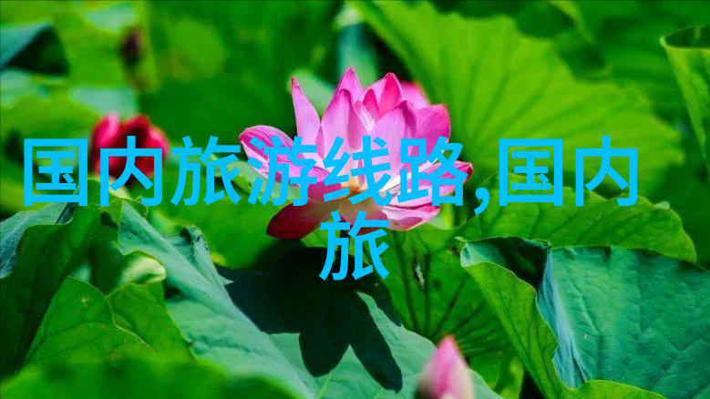 户外拓展旷野小队