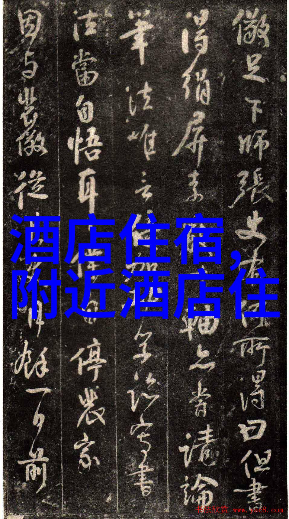 美味穿梭探秘中国各地的绝妙佳肴