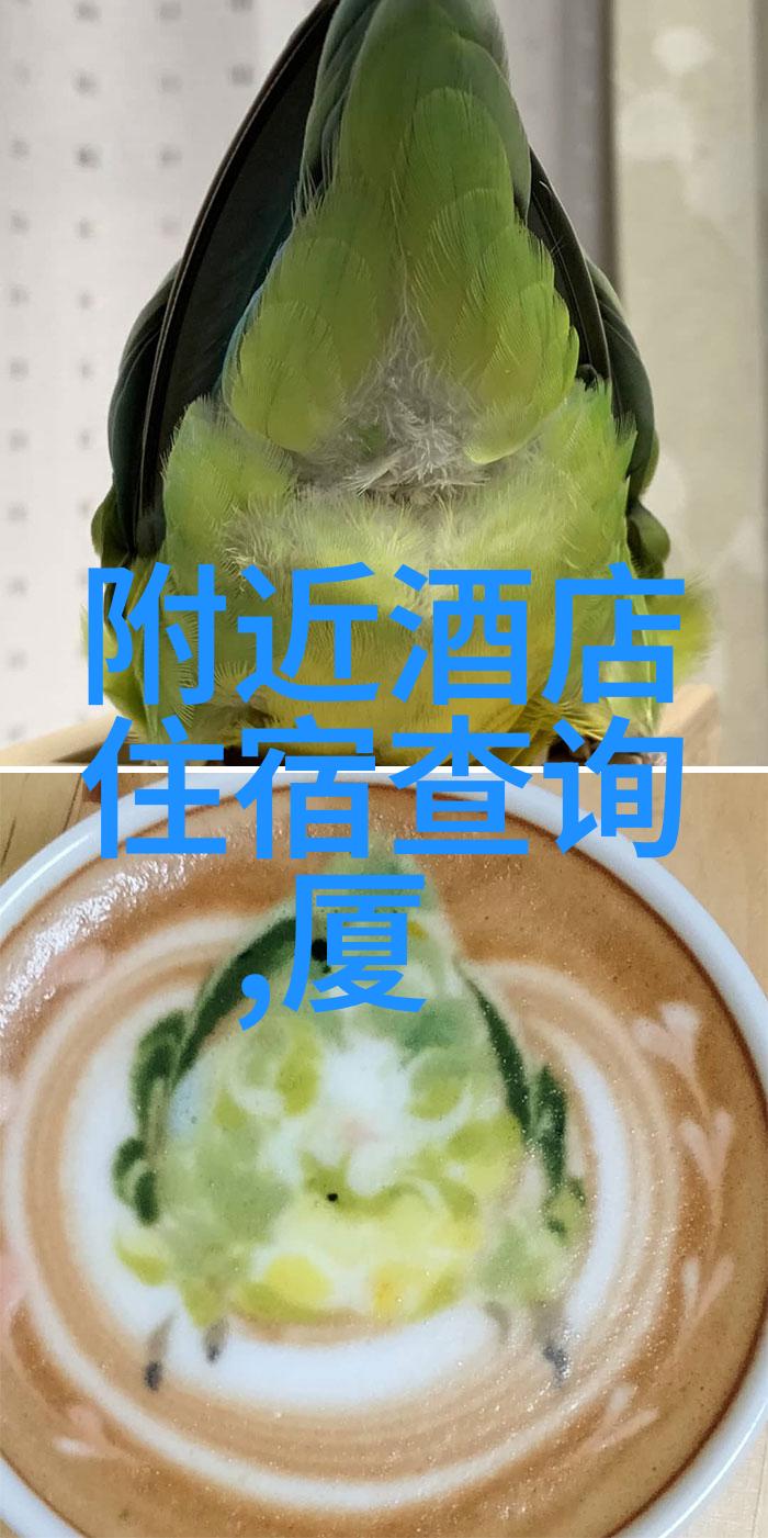 安徽之旅寻觅古韵与现代魅力