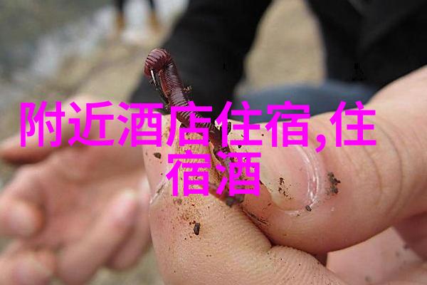 乡村旅游论文探索田野的智慧与魅力