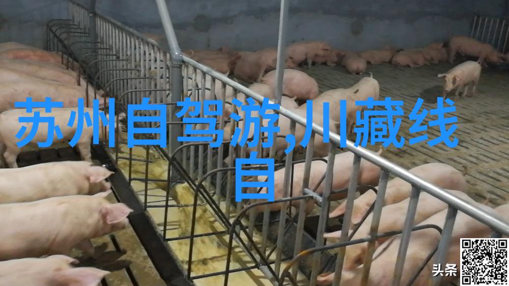 游记中考满分作文探索文化之旅的写作技巧