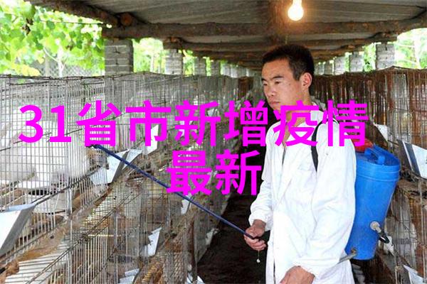 快速选速212427和30的实用性比较