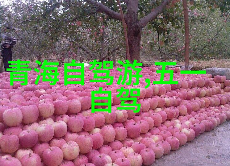 丽江古城与大理香市云南美景的双重魅力