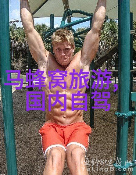 秘密解锁全国旅游监管平台的导游入口之谜