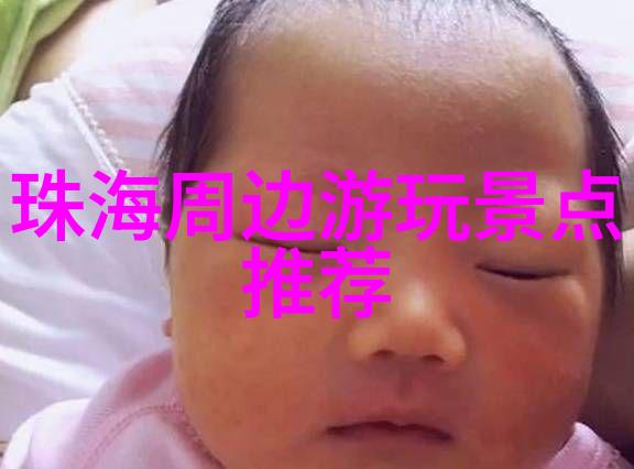 探索上海美食新篇章人气美食app官网带你走近舌尖上的香城