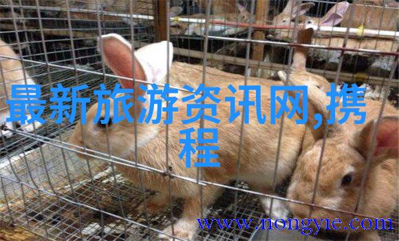 探索奇迹全球最迷人旅游胜地