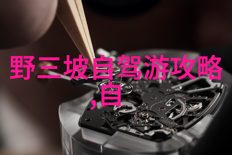 骑行极限普通人一天能否超越200公里