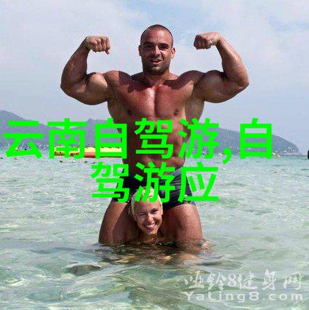 上海入门级住宿指南揭秘50元一晚的最佳选择
