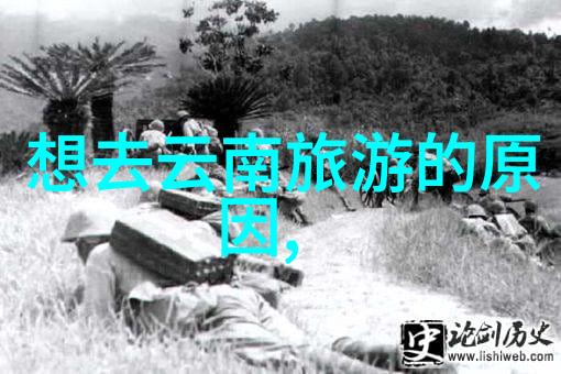 南下的足迹福建之旅的诗篇