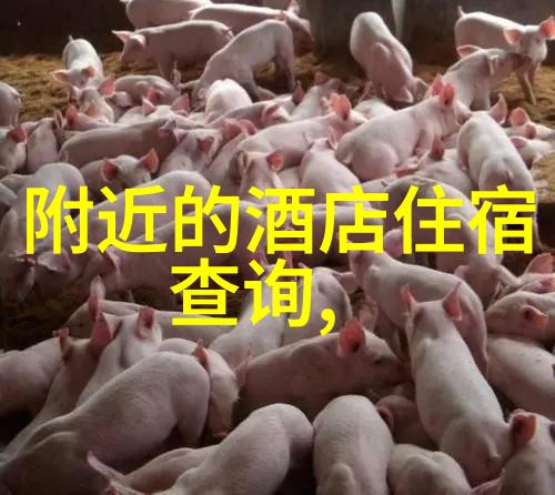 上海到莆田自驾行程探索自然风光的旅途
