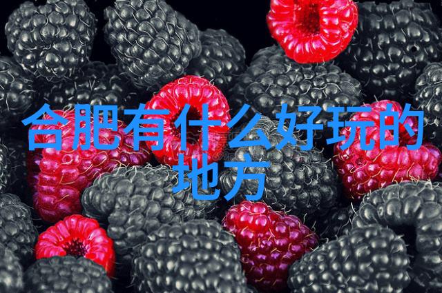 省力自行车骑行的乐趣与效率之王