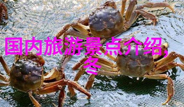 北京出发桂林美景等你来五日游报价详解