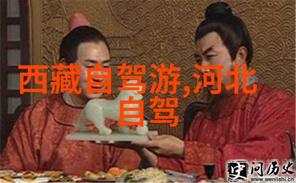夜幕下的归宿萝卜药丸的月光之旅