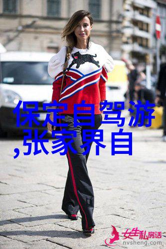 新东方快车新疆旅游专列价格 - 逆云寻梦揭秘新东方快车新疆旅游专列的魅力与价格
