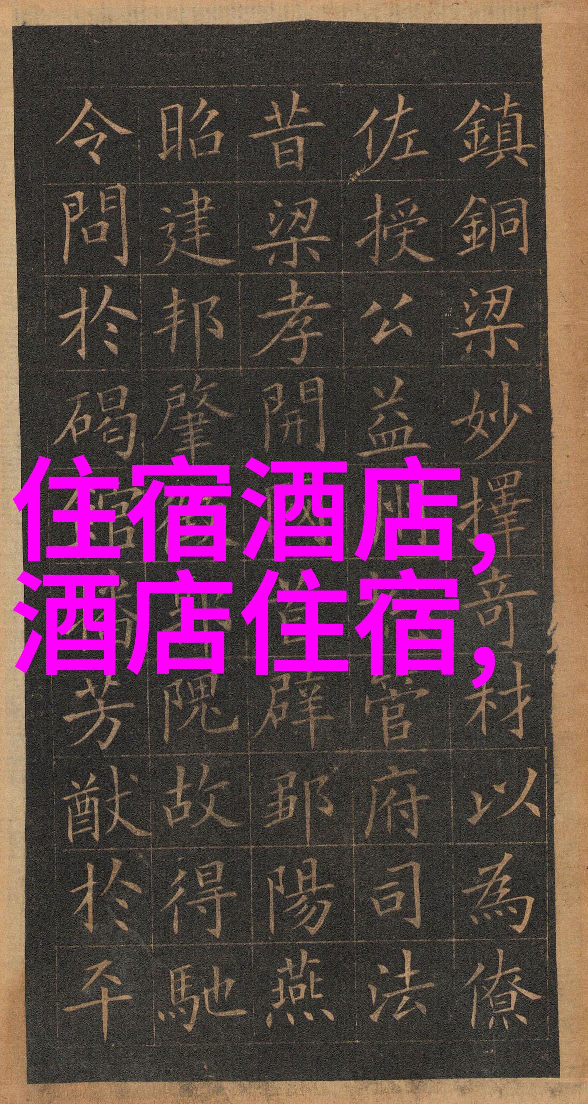 活力启航大班体育活动盛宴