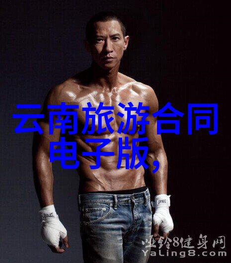 冬日奇遇探索中国最美的雪地目的地